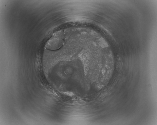 X0000075900918200609291728