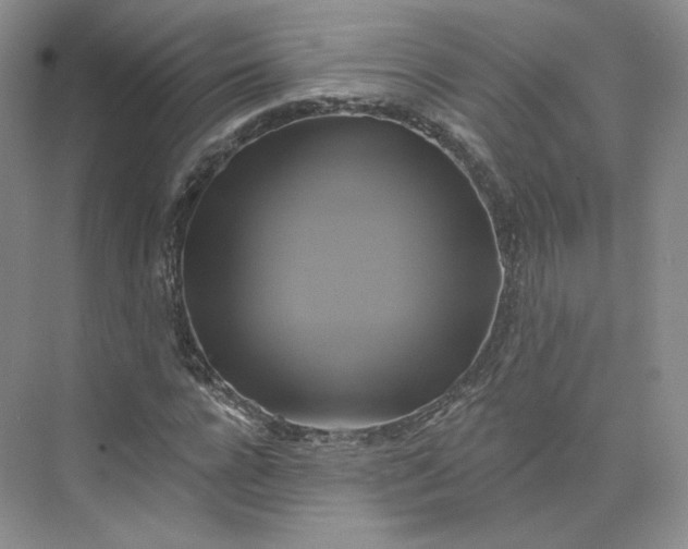 X0000075900920200609291728