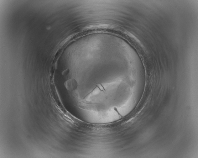 X0000075900921200609291728