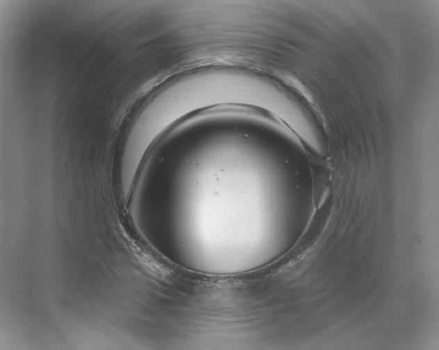 X0000075900922200609291728