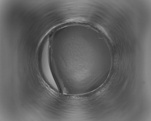 X0000075900923200609291728