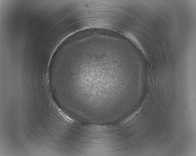 X0000075900924200609291728