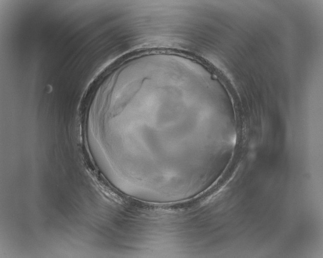 X0000075900925200609291728