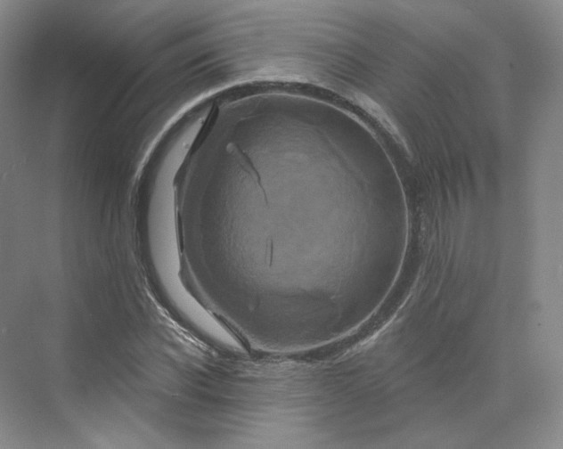 X0000075900926200609291728