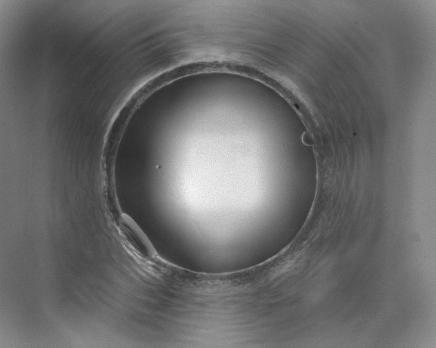 X0000075900927200609291728