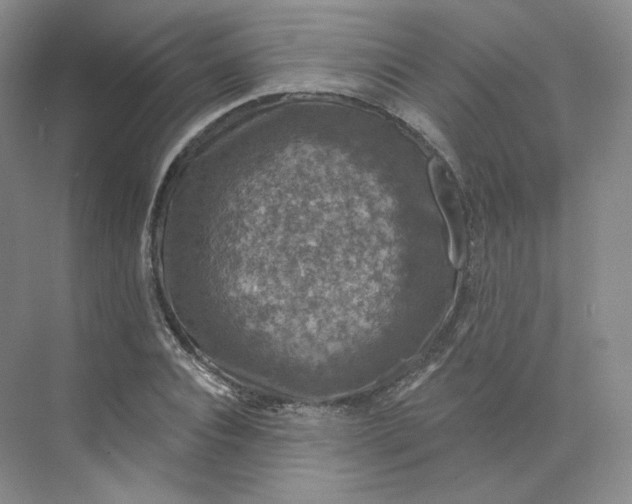 X0000075900928200609291728