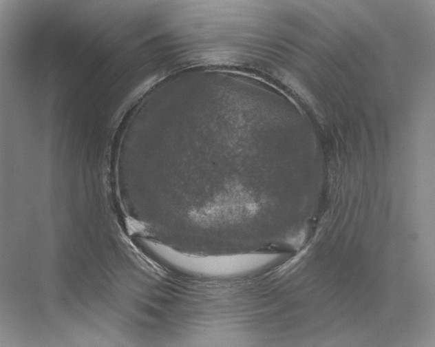 X0000075900930200609291728