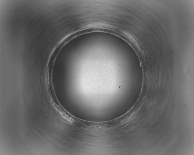 X0000075900931200609291728