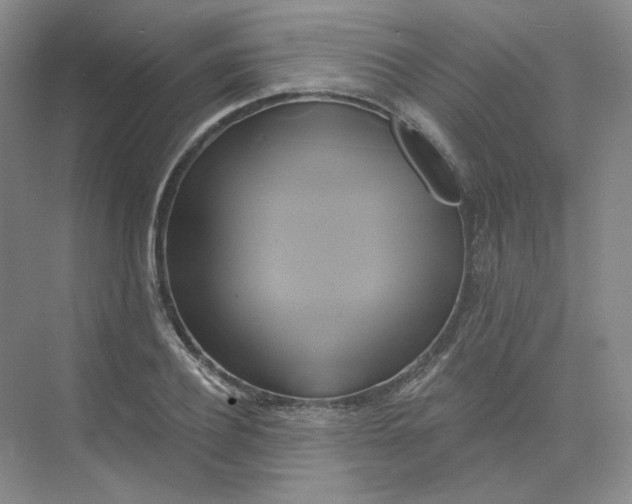 X0000075900932200609291728