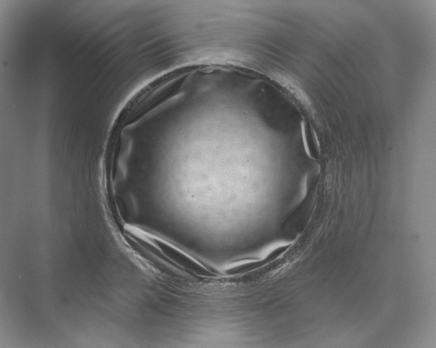 X0000075900936200609291728