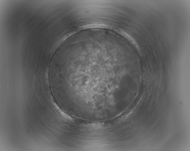 X0000075900937200609291728