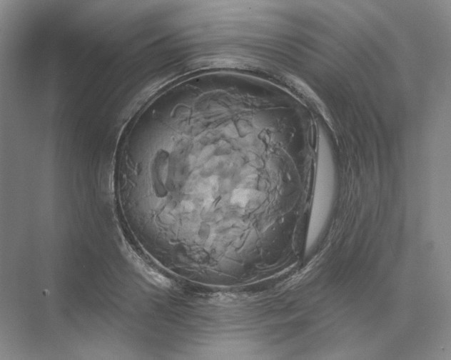 X0000075900938200609291728