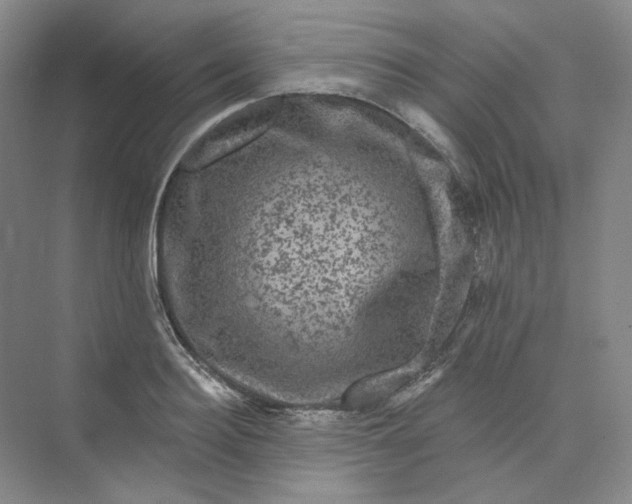 X0000075900940200609291728