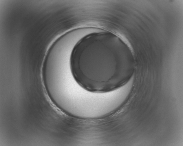 X0000075900944200609291728