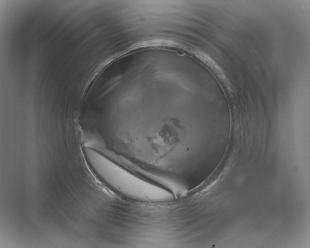 X0000075900945200609291728