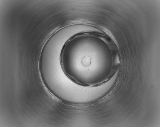 X0000075900946200609291728