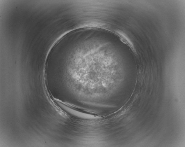 X0000075900948200609291728