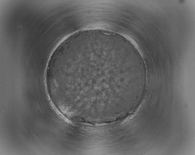 X0000075900949200609291728