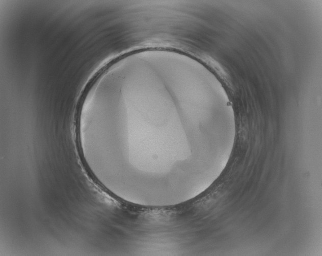 X0000075900950200609291728