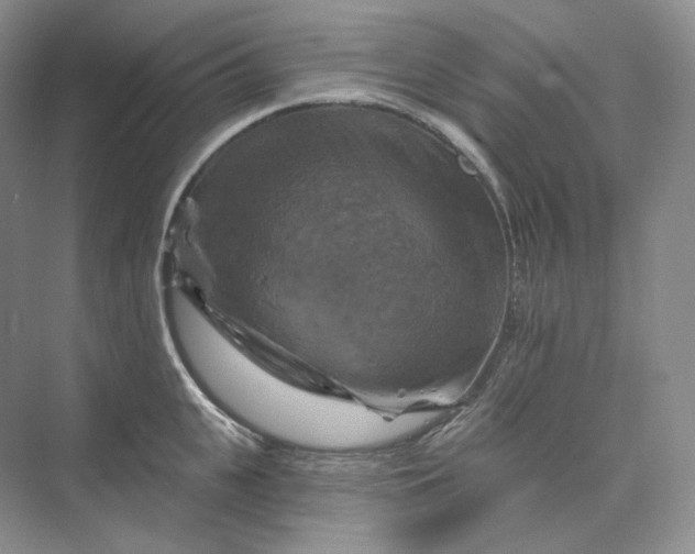 X0000075900951200609291728