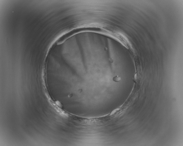 X0000075900952200609291728