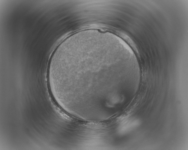 X0000075900954200609291728