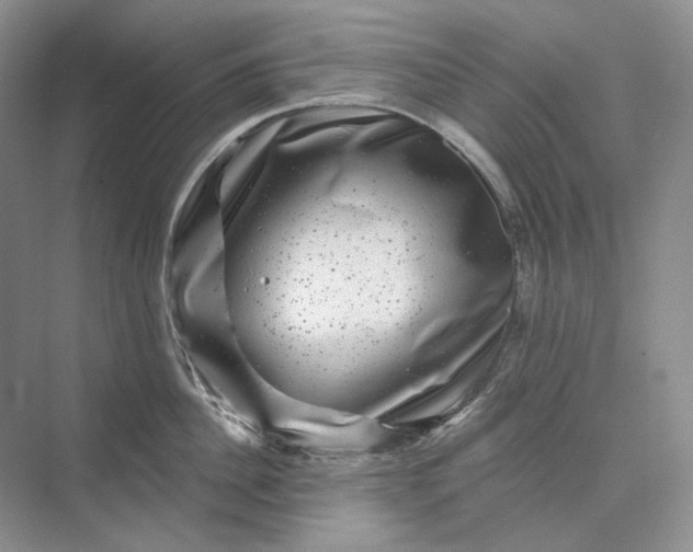 X0000075900956200609291728