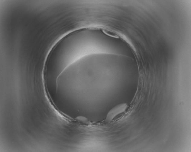 X0000075900959200609291728