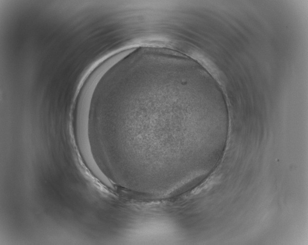 X0000075900960200609291728