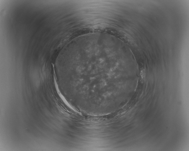 X0000075900963200609291728