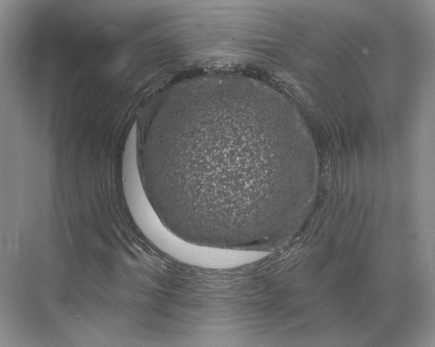 X0000075900964200609291728