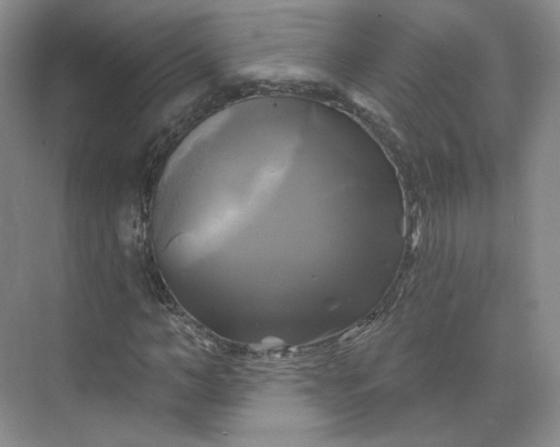 X0000075900966200609291728