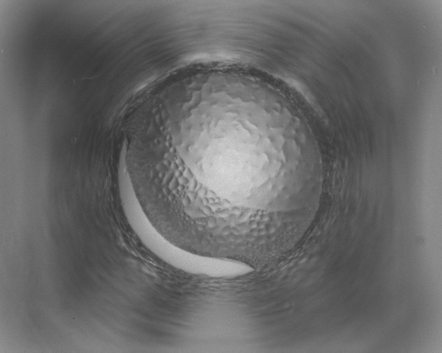 X0000075900967200609291728