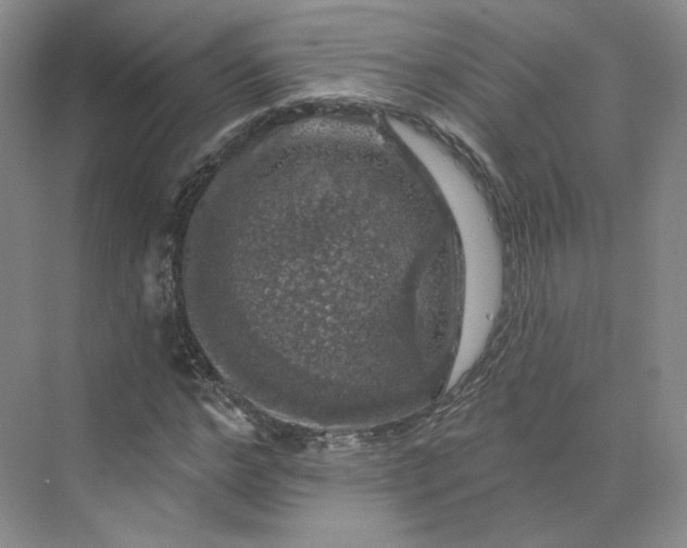 X0000075900968200609291728