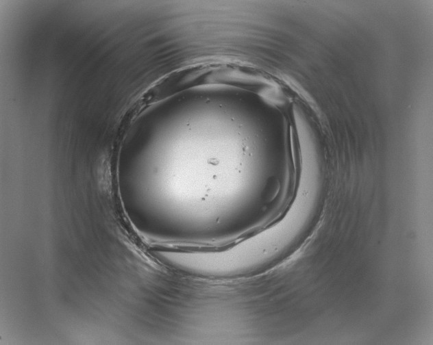 X0000075900969200609291727