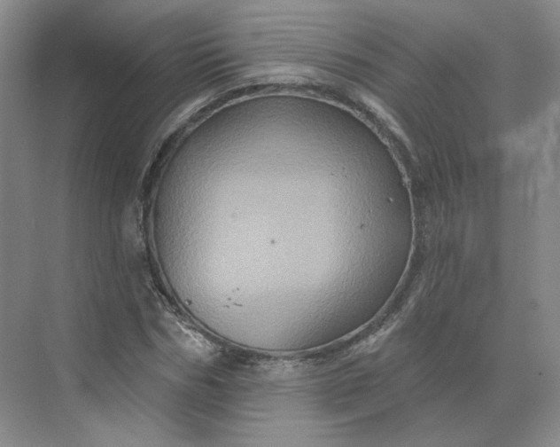 X0000075900970200609291727