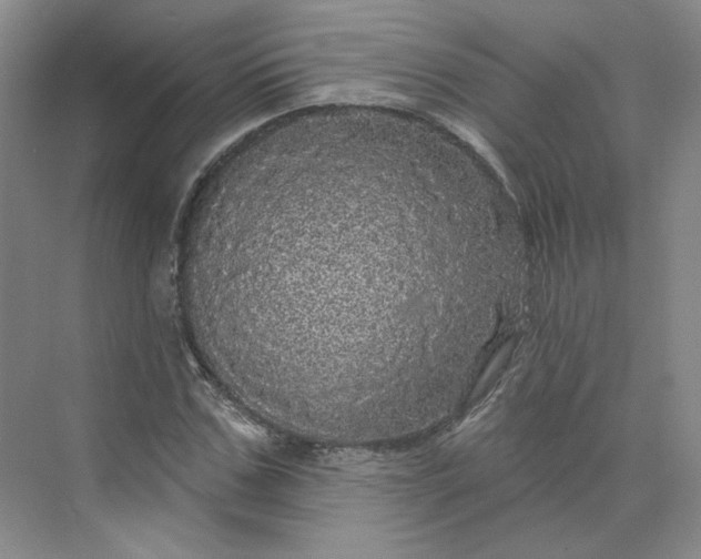 X0000075900971200609291727