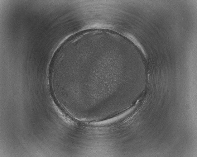 X0000075900972200609291727