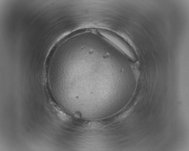 X0000075900974200609291727