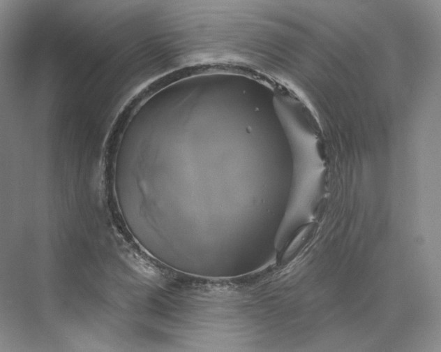 X0000075900975200609291727