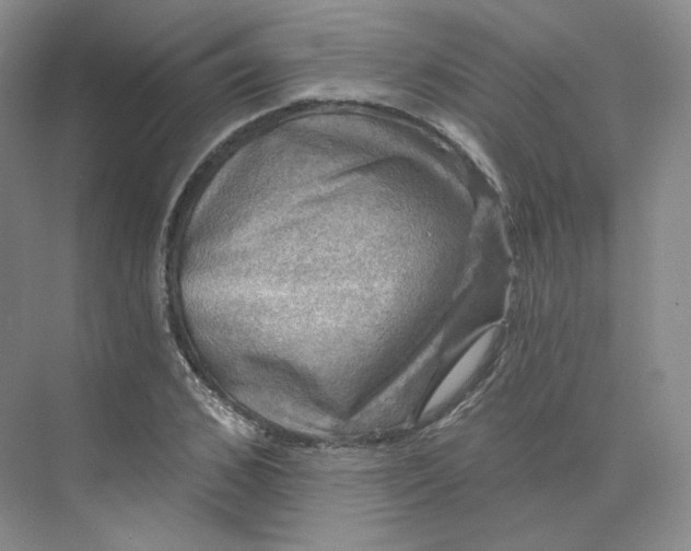 X0000075900976200609291727