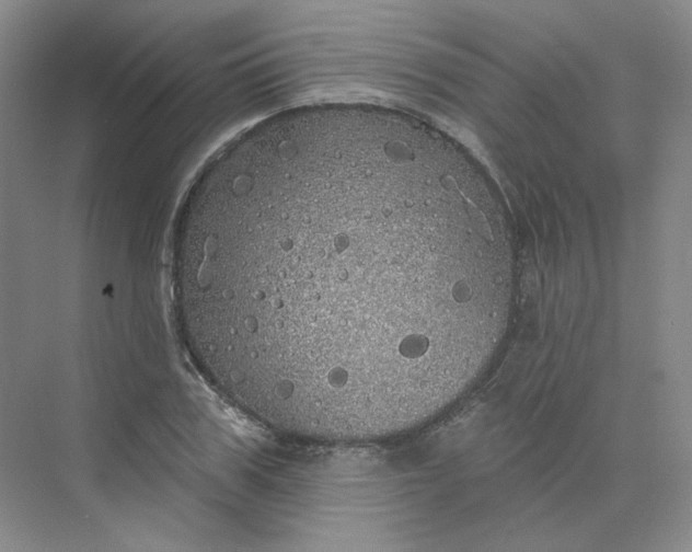 X0000075900979200609291727