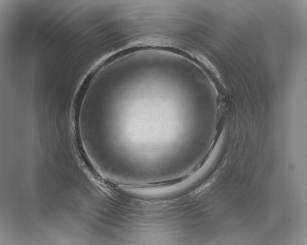 X0000075900981200609291727