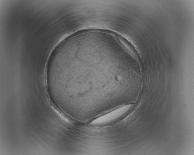 X0000075900982200609291727