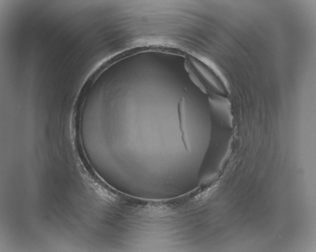 X0000075900983200609291727