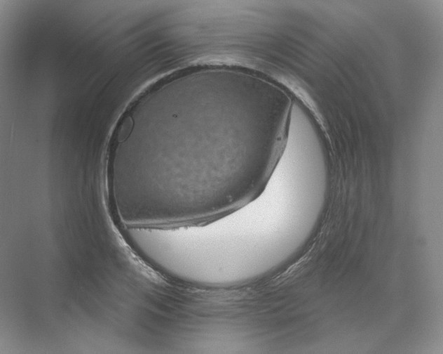 X0000075900984200609291727