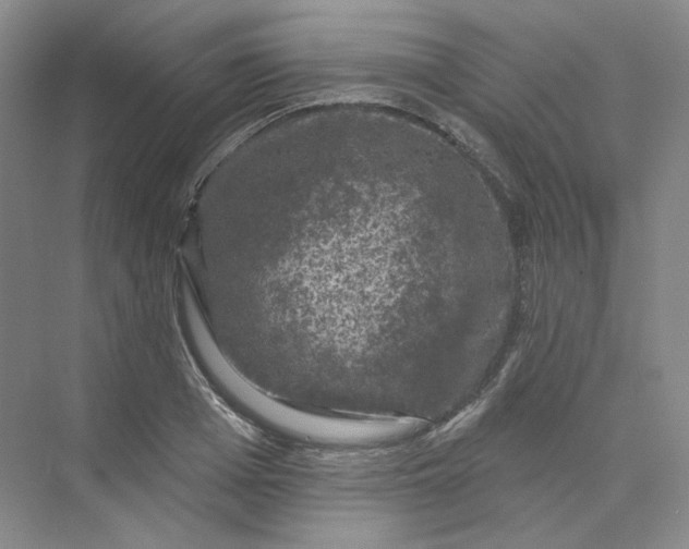 X0000075900985200609291727