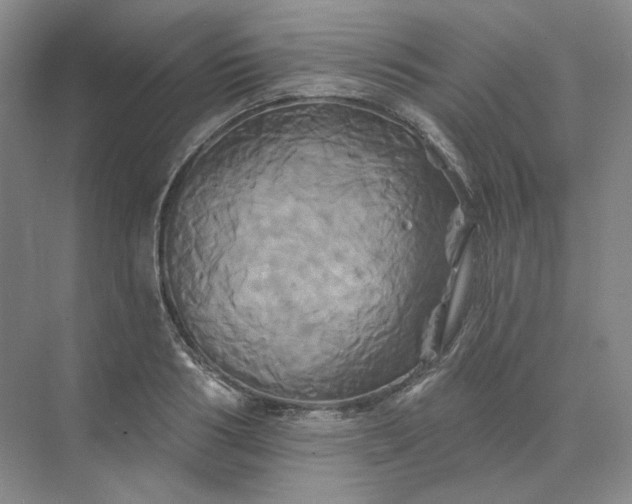 X0000075900986200609291727