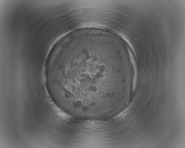 X0000075900987200609291727