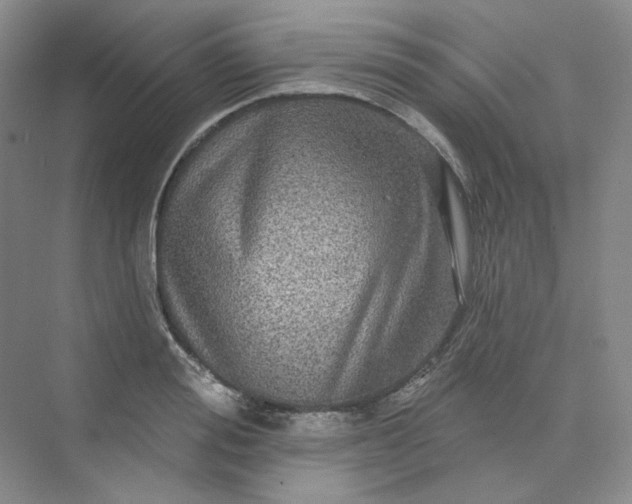 X0000075900988200609291727